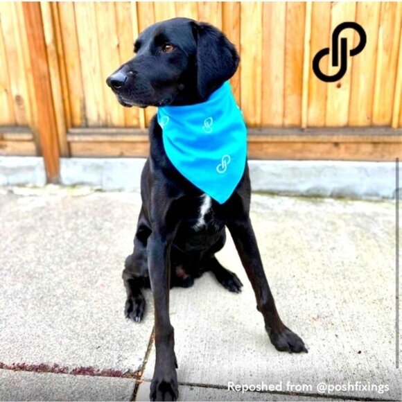 Other - Poshmark Pet Bandana Turquoise Blue with Posh logo in White Listing for ONE (1)